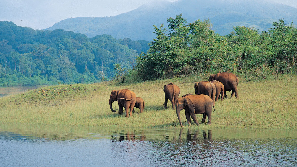 4NT & 5DYS INSPIRING KERALA PKG
