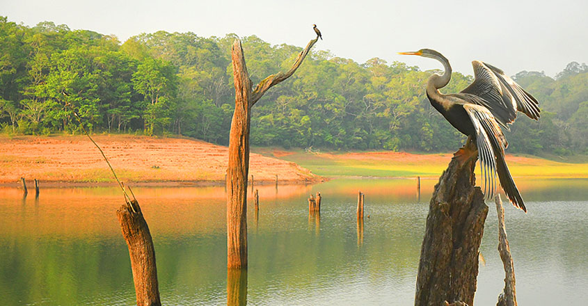3NT & 4DYS KERALA TREKKING  PKG