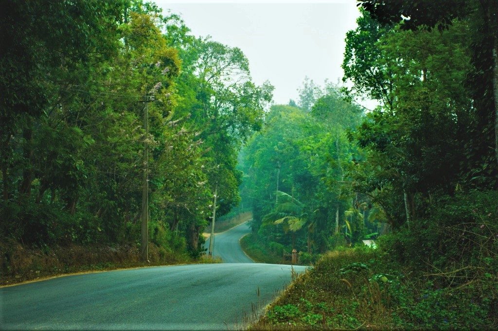 TRESSURES OF SOUTH INDIA 