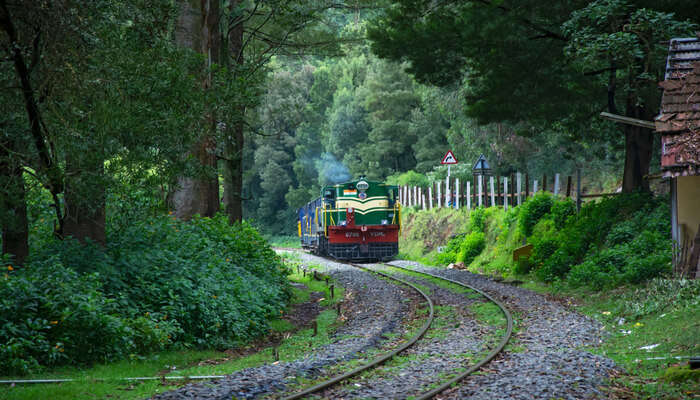 ESCAPE INTO THE BLUE MOUNTAINS - OOTY 