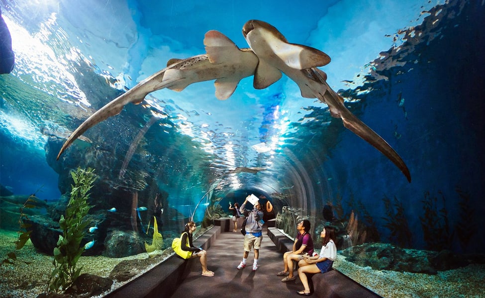 FUN LOADED PATTAYA PKG